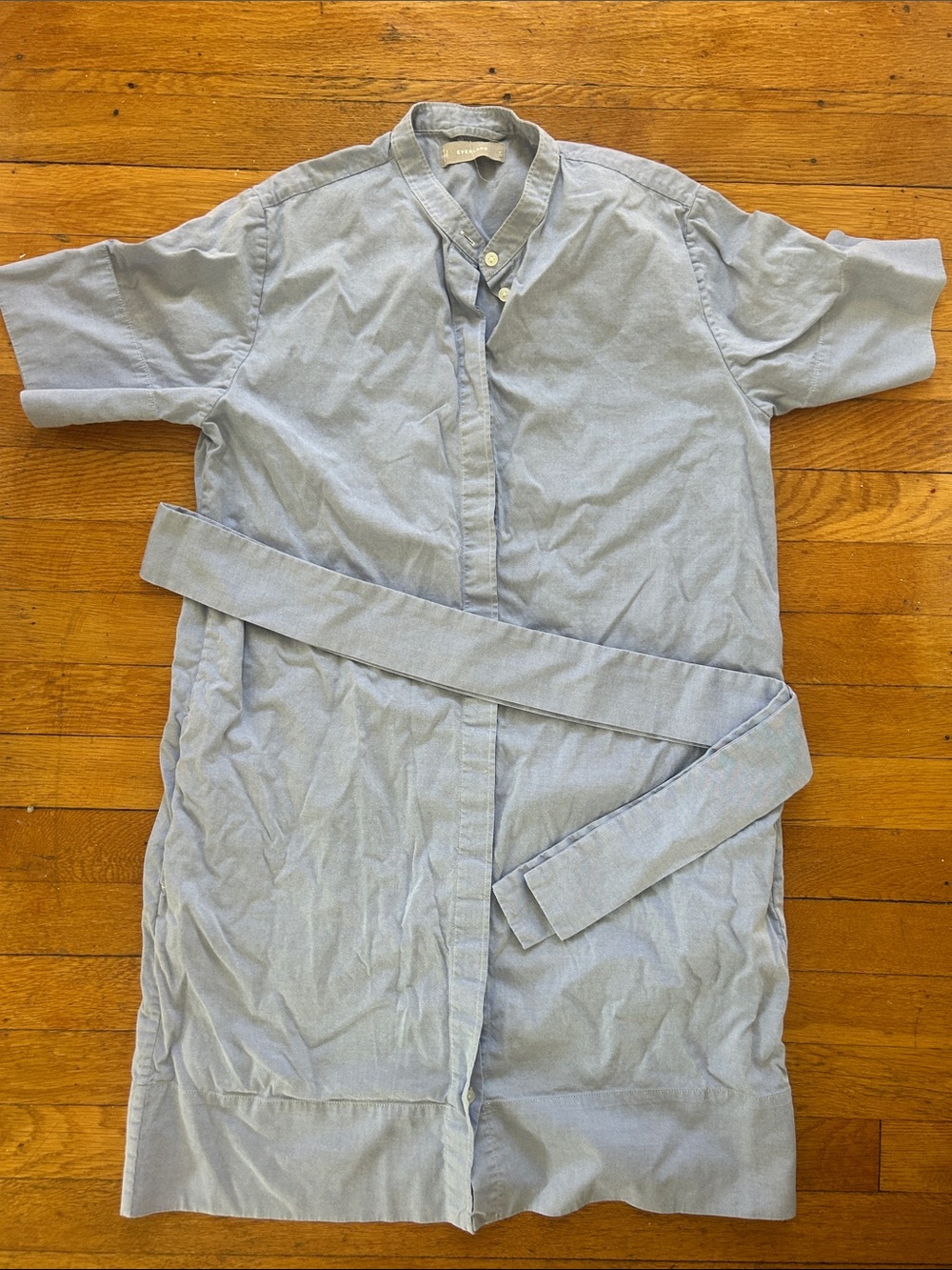 Everlane collarless oxford shirt dress